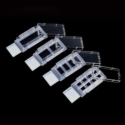 Clear Cell Culture Slides