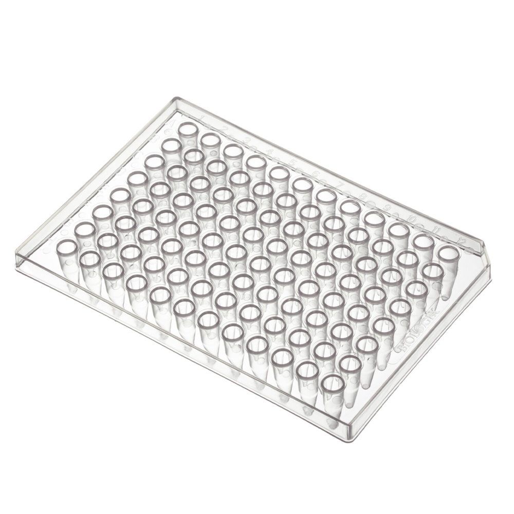 PCR 96 Well Plate