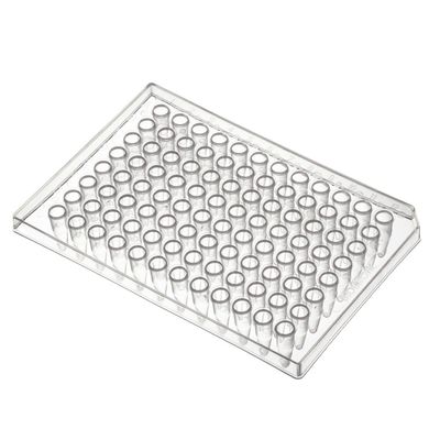 PCR 96 Well Plate
