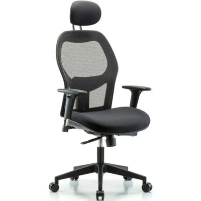 Executive Windrowe Mesh Back Chair with Head Rest, Standard Adjustable Arms, &amp; Casters