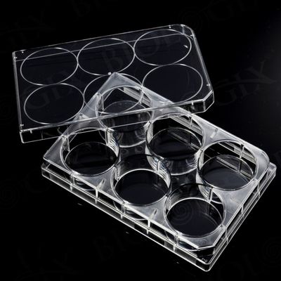 Cell Culture Plates-6/12/24/48/96-Well, 1/Pack, 50/Case