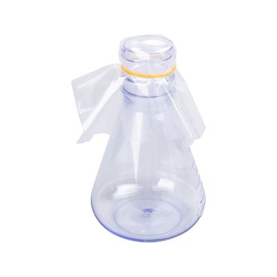 Bacterial Culture Erlenmeyer Flasks
