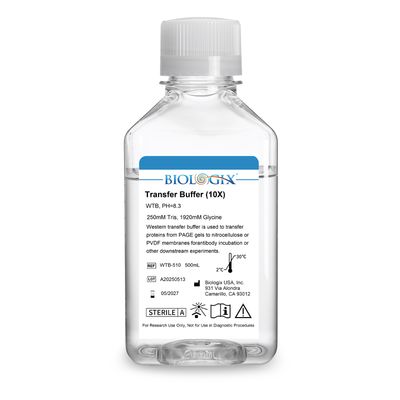 Biologix® Western Transfer Buffer (10×), PH8.3, 500mL/ Bottle, 10 Bottles/Case