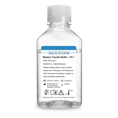 Biologix® Western Transfer Buffer (10×), PH8.3, 500mL/ Bottle, 10 Bottles/Case