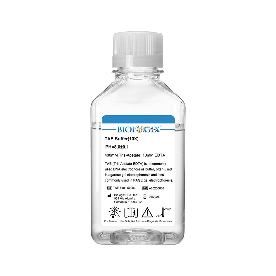 Biologix TAE ( Tris Acetate-EDTA ) Buffer ( 10x ), pH8.0, 500mL/Bottle