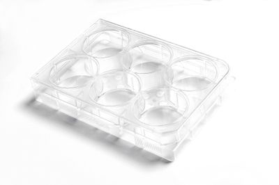 Cell Culture Plates-6/12/24/48/96-Well, 1/Pack, 50/Case Cell Culture Plates-6/12/24/48/96-Well, 1/Pack, 50/Case