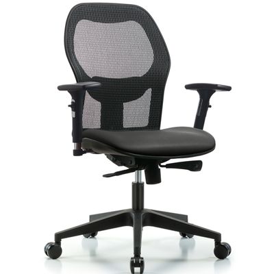 Executive Windova Mesh Back Chair with 3D Adjustable Arms, Carbon Supernova™ Seat, &amp; Casters