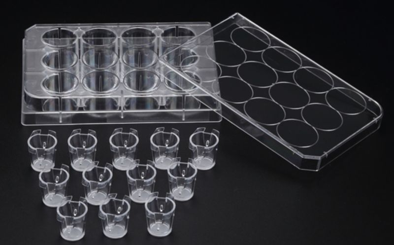 12 Cell Culture Inserts+ 12 well plate, PC Membrance, Sterile