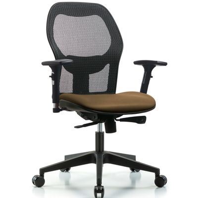 Executive Windova Mesh Back Chair with 3D Adjustable Arms, Taupe Supernova™ Seat, &amp; Casters