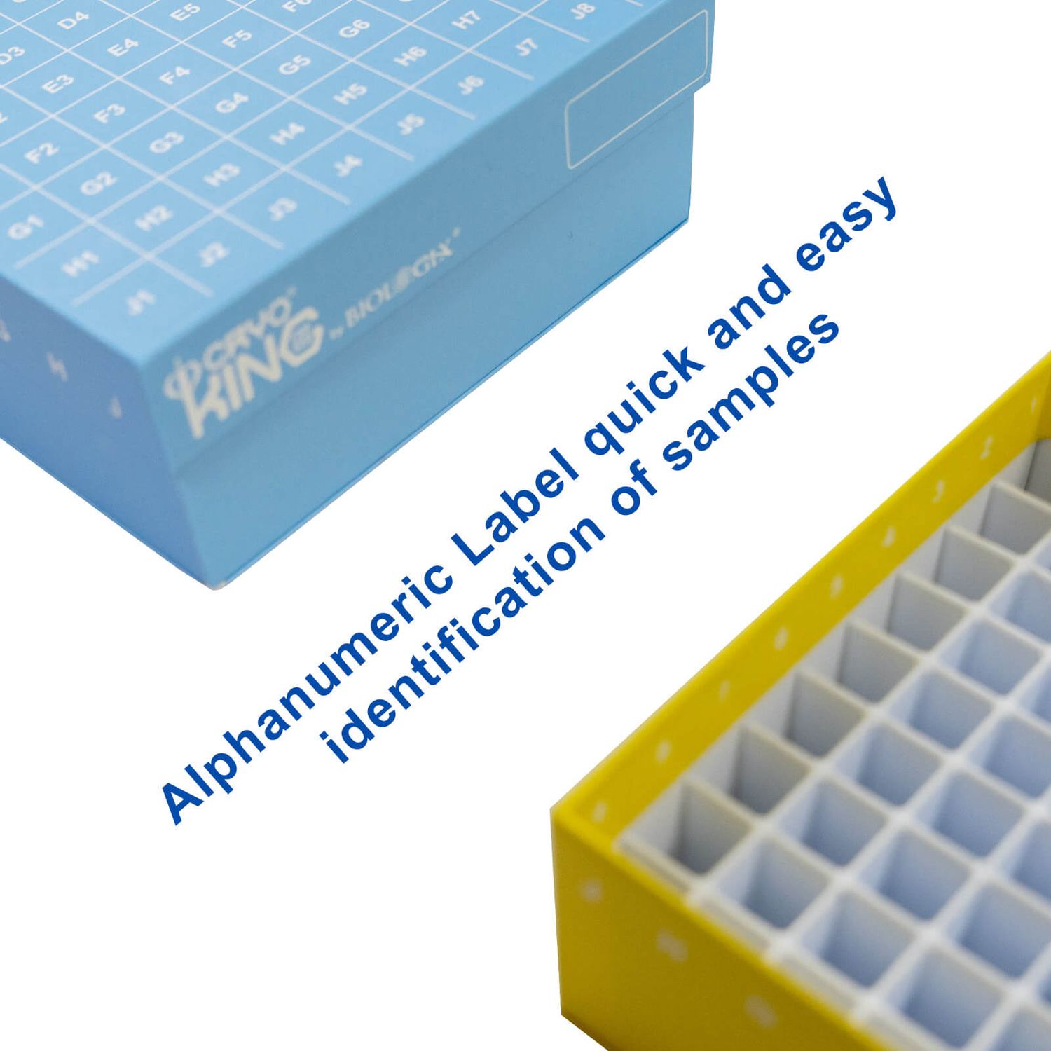 4478000474.jpg