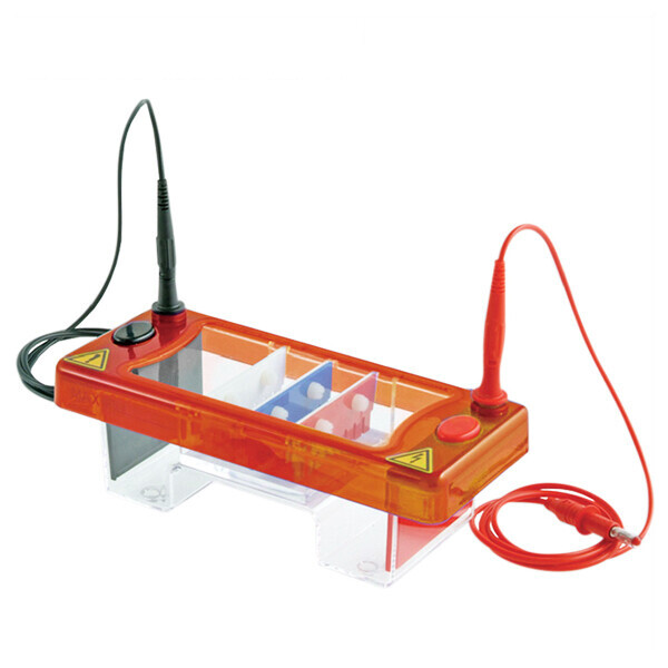 Gel Electrophoresis Equipment