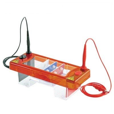Gel Electrophoresis Equipment