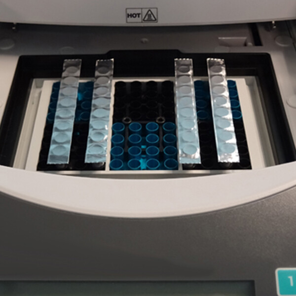 Biologix® Sealing Films EZcap FoilStrips 300 Strips