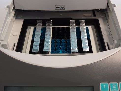 Biologix® Sealing Films EZcap FoilStrips 300 Strips