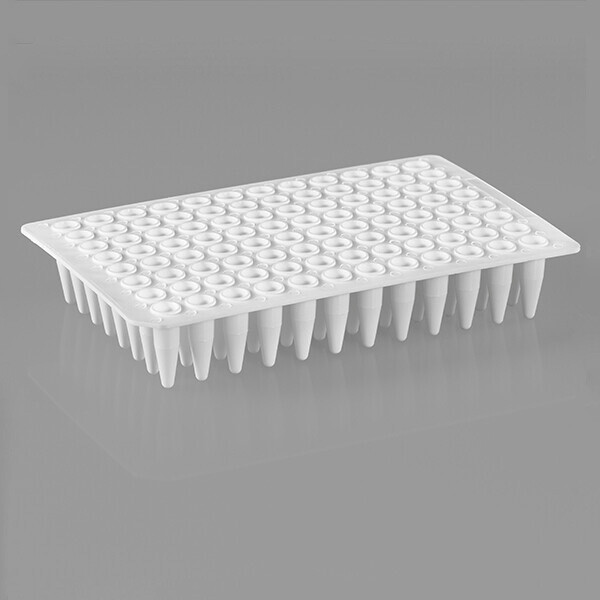 96-well PCR Plate
