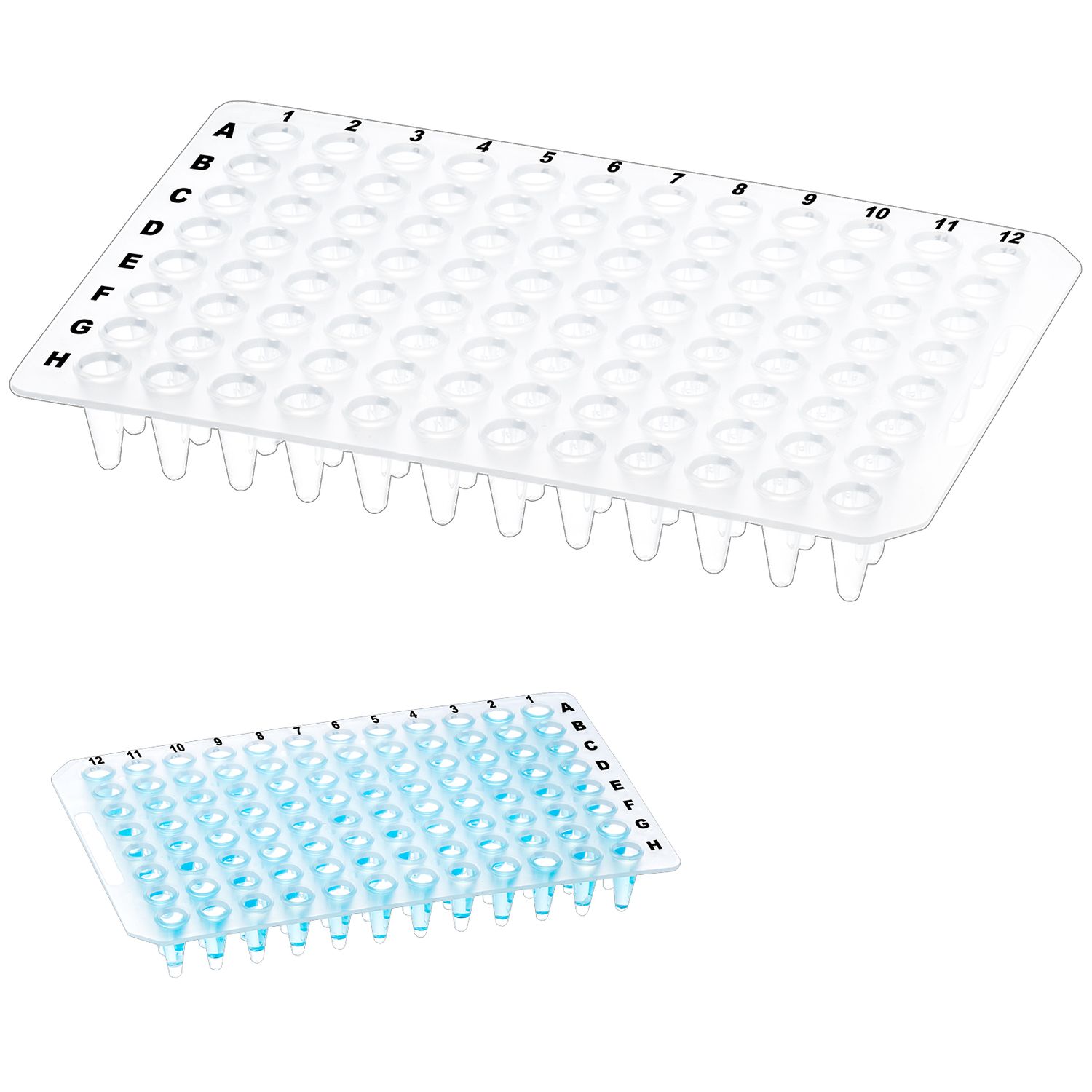 Biologix® 96 well PCR Plates - 0.1ml, Clear/White color, 10 Plates/Pack,100 Plates/Case
