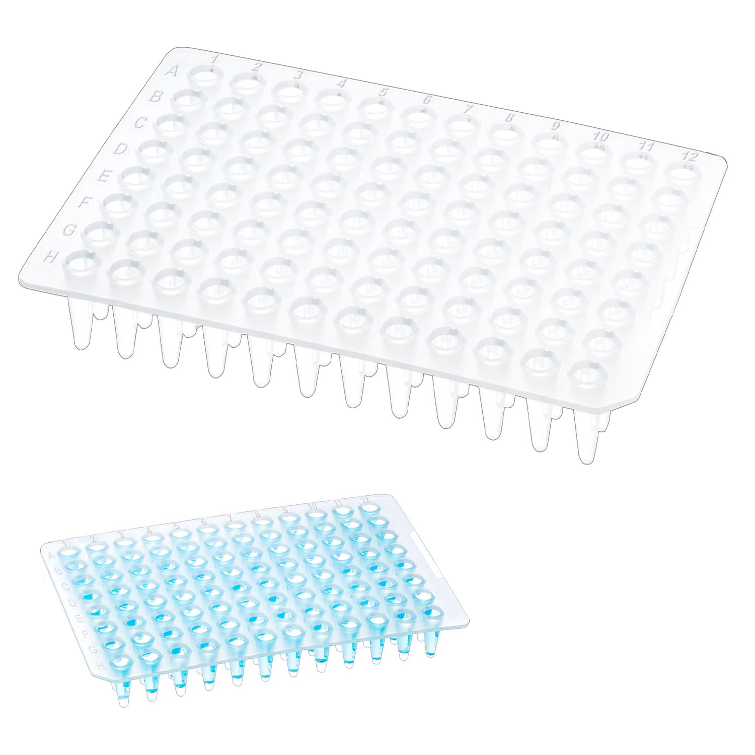 Biologix® 96 well non-skirted PCR Plates. 0.2ml Clear/White color, 10/Pack, 100/Case