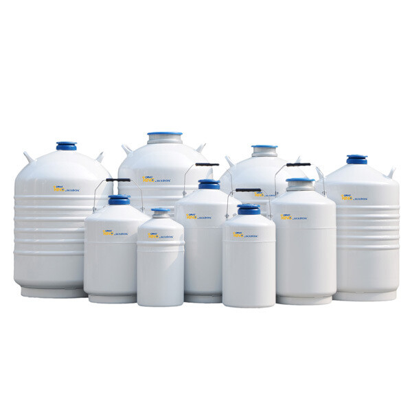 Cryogenic Container