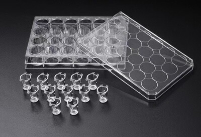 3D Cell Culture Plate