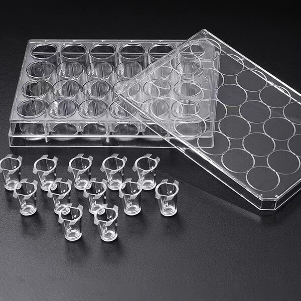 3D Cell Culture Plate Insert™ Hanging, PET, 0.4/3/8μm, Transparent, Sterile, 6 Pcs/PK, 24 Pcs/CS, Type: 6 Inserts/6 well, Pore size: 0.4μm