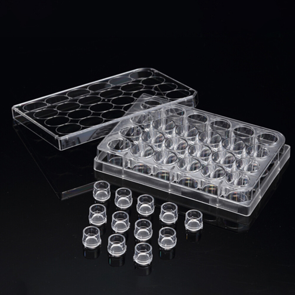 3D Cell Culture Plate