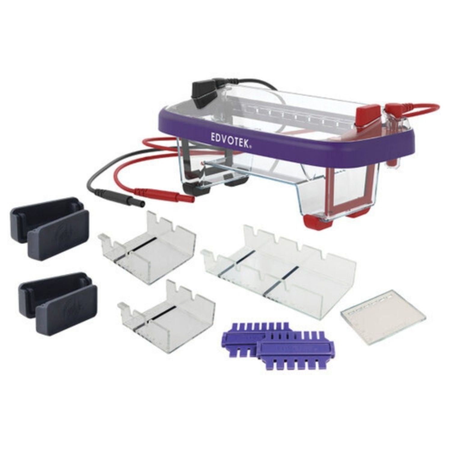 Complete Electrophoresis Apparatus, 14 x 7 cm, 1/Case