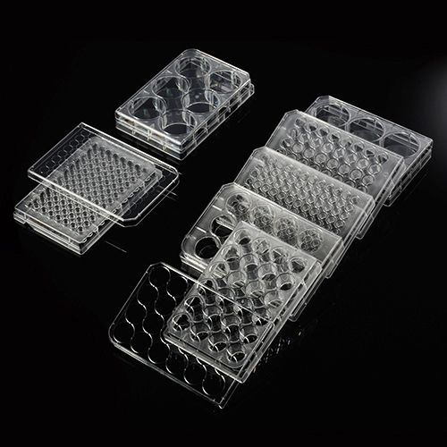 Cell Culture Plate, 6/ 12/48/ 96 wells, PS, Flat-Bottom, 1/Pack, 50/Case