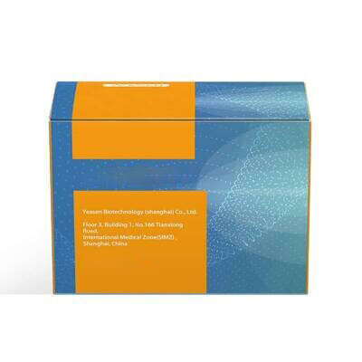 Ultima Dual-mode RNA Library Prep Kit