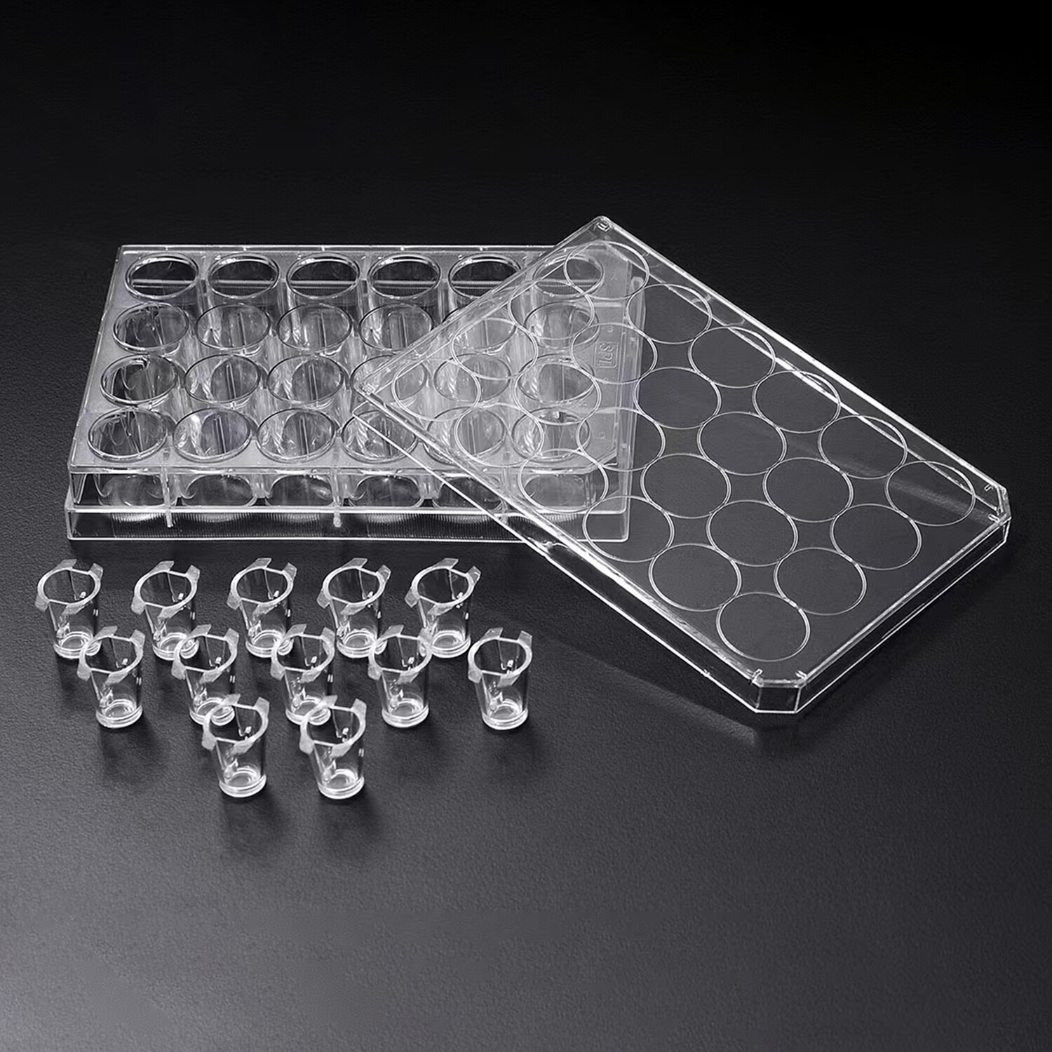 12 Cell Culture Inserts+ 24 Well Plate