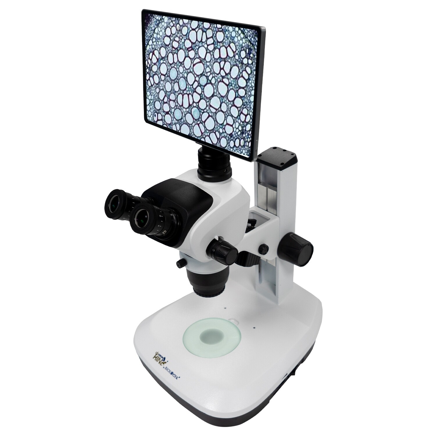 Lab Compound Trinocular Microscopes