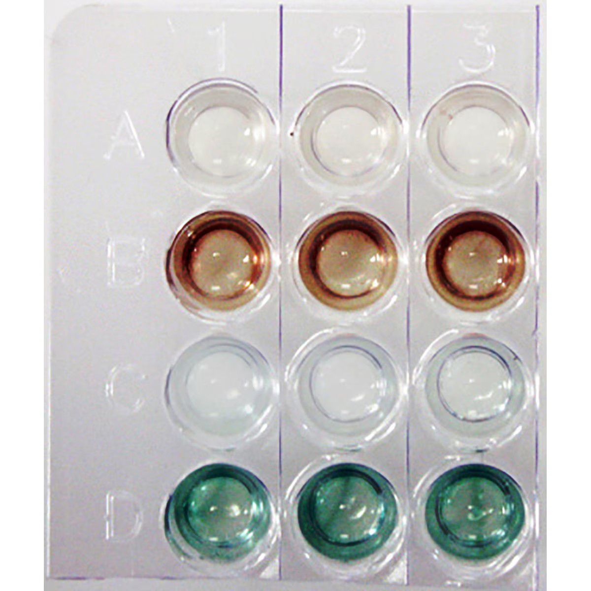 Introduction to ELISA Reactions