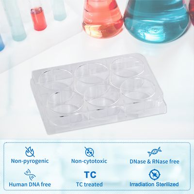 Biologix® Cell Culture Plates-6/12/24/48/96-Well, 1/Pack, 50/Case