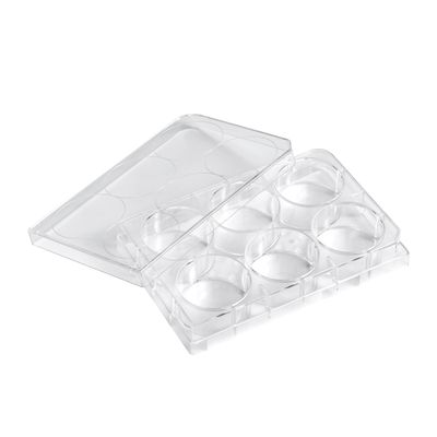 Biologix® Cell Culture Plates-6/12/24/48/96-Well, 1/Pack, 50/Case
