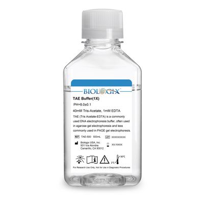 Biologix® TAE ( Tris Acetate-EDTA ) Buffer ( 1× ), pH8.0, 500mL/Bottle
