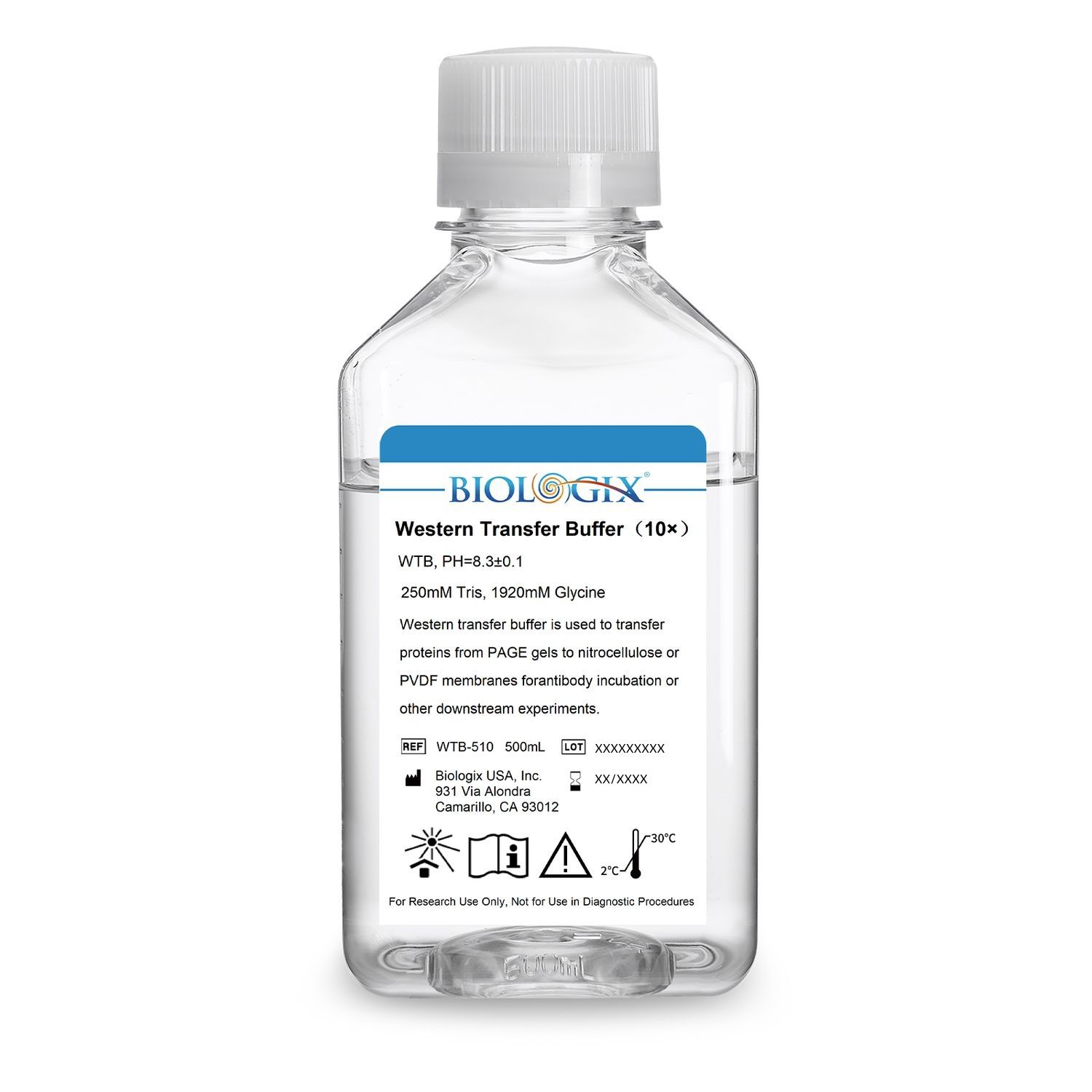 Biologix® Western Transfer Buffer (10×), PH8.3, 500mL/ Bottle