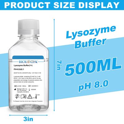Biologix® Lysozyme Buffer (1×), pH8.0, 500mL/Bottle