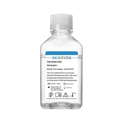 Biologix TAE ( Tris Acetate-EDTA ) Buffer ( 10x ), pH8.0, 500mL/Bottle