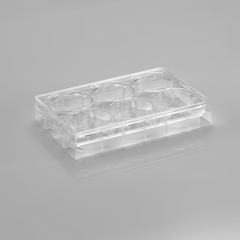 Multi Well Culture Plate, PS, 6/12/96 Wells, TC Treated