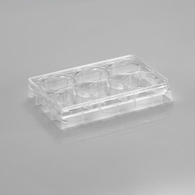 Multi Well Culture Plate, PS, 6/12/96 Wells, TC Treated