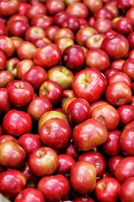 AUTOUR DE LA POMME