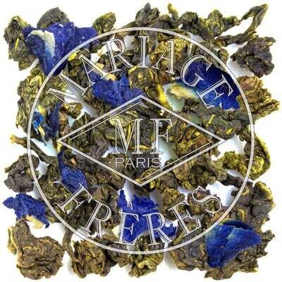 MARCO POLO BLUE® - Thé Bleu™ -  Goût fruité et fleuri