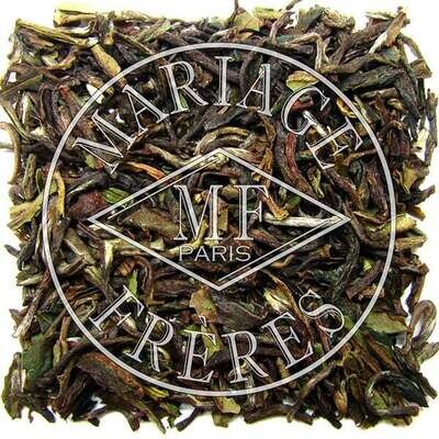 MASTER™ - Thé noir -  DARJEELING