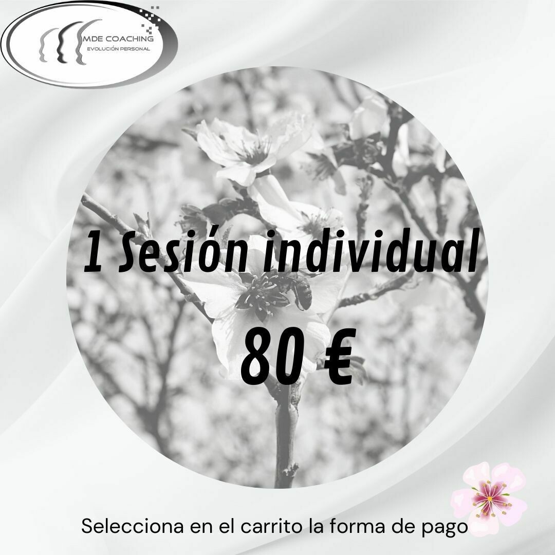 Sesión individual