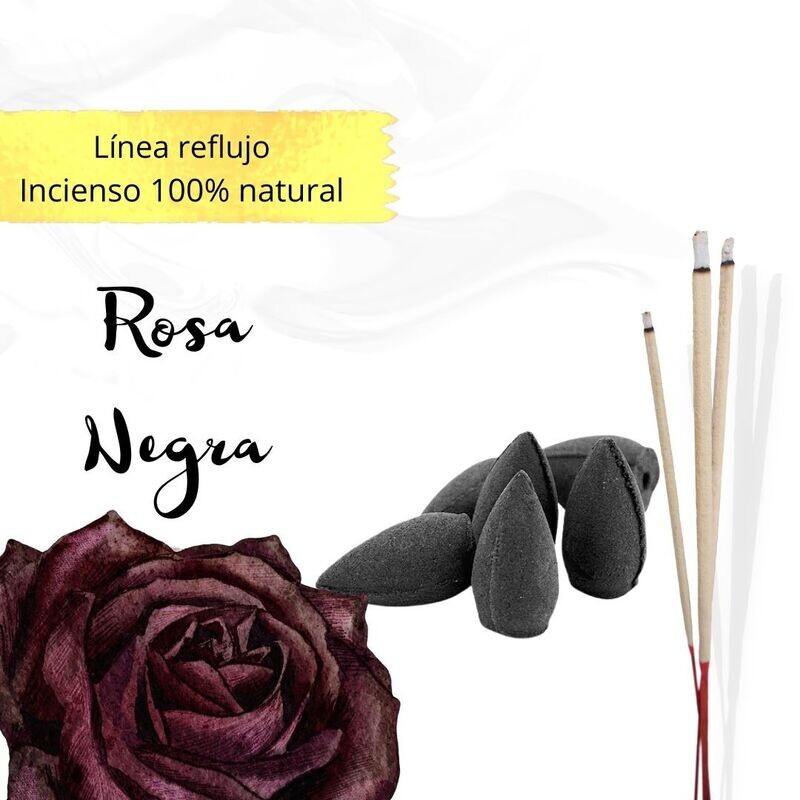 Conos de reflujo Naturales - Rosa Negra