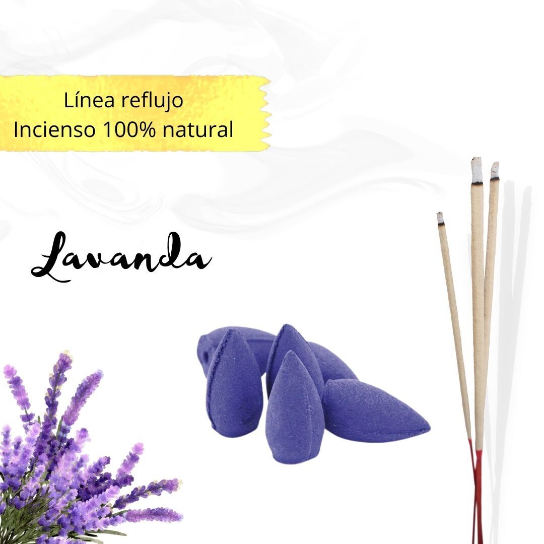 Conos de reflujo Naturales - Lavanda