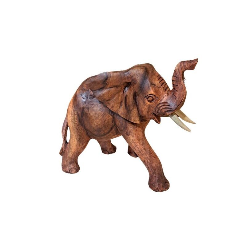 Elefante