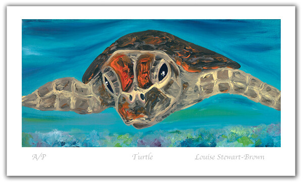 Turtle - Limited Edition Print