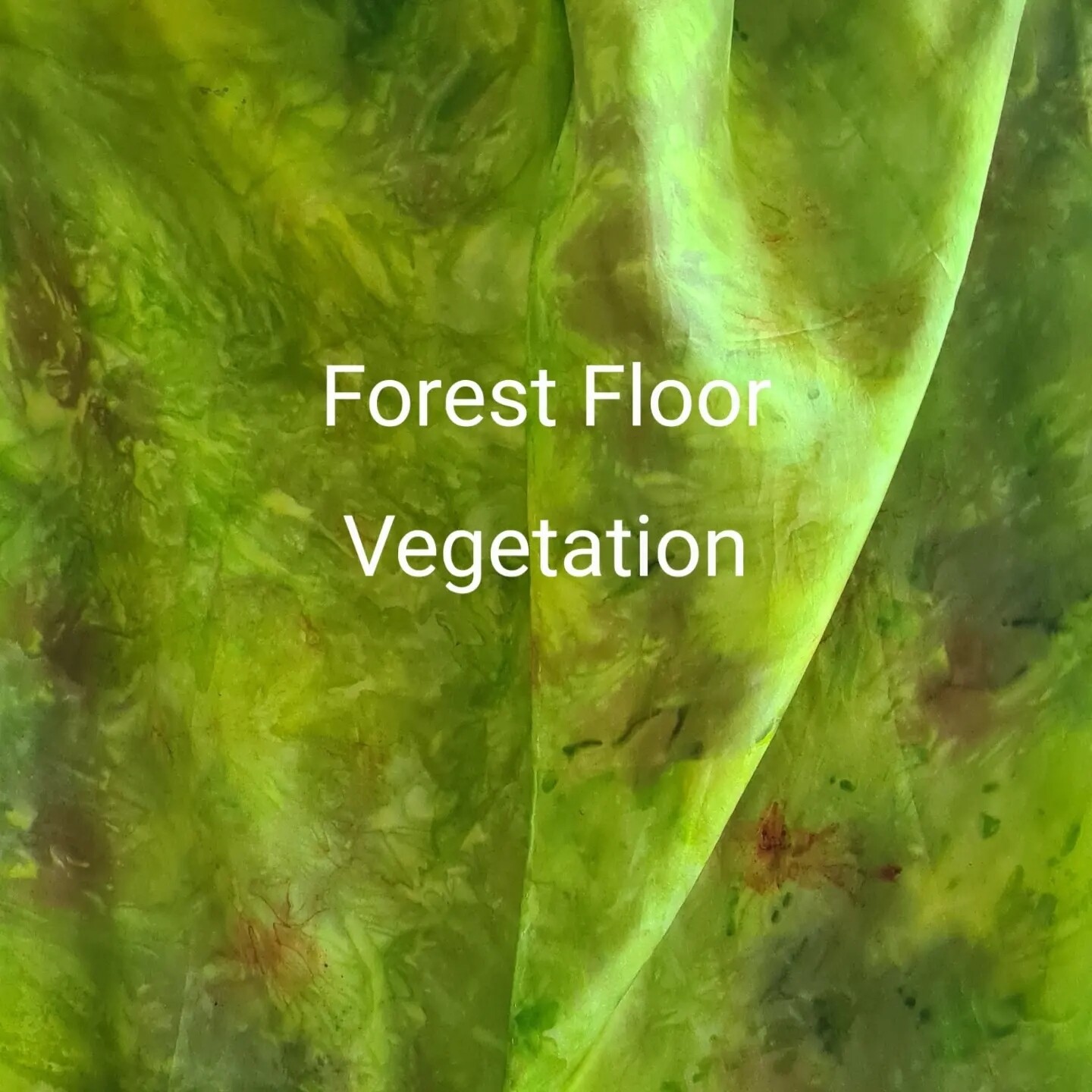 146 Forest Floor Vegetation - Silk Scarf