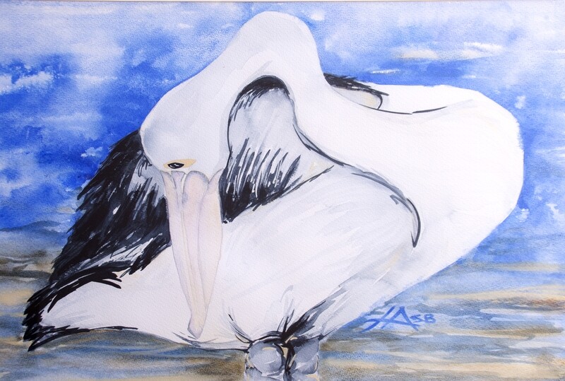 Mr Percival Preening - Water Colour - Digital Image