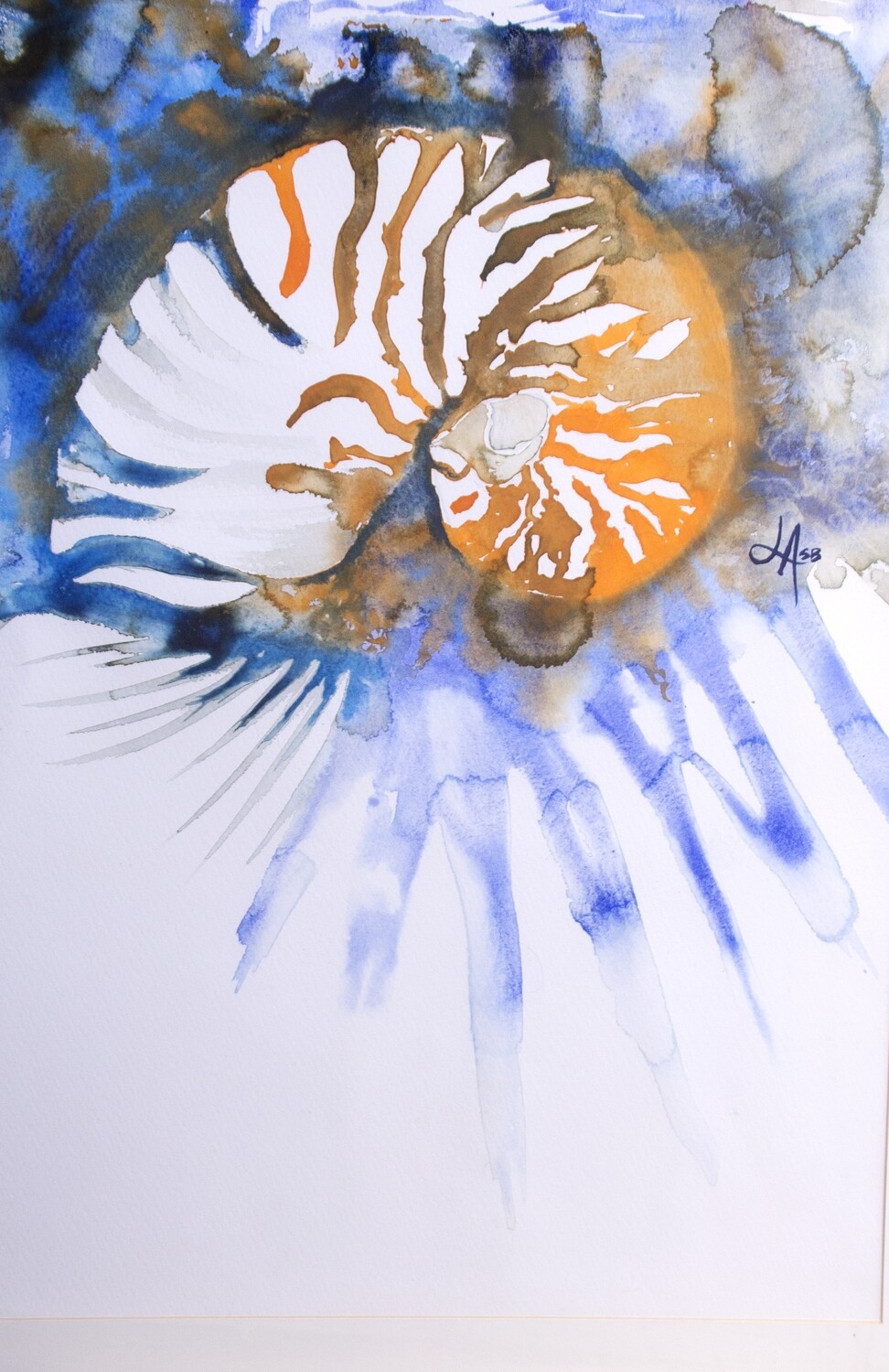 Nautalis - Digital Image